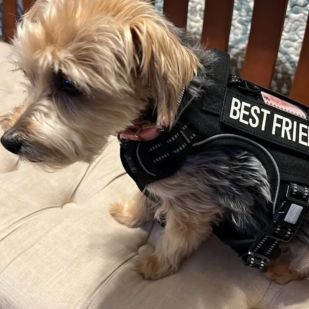 Auroth No Pull Harness K 9 Working Dog Best Friend Small New!